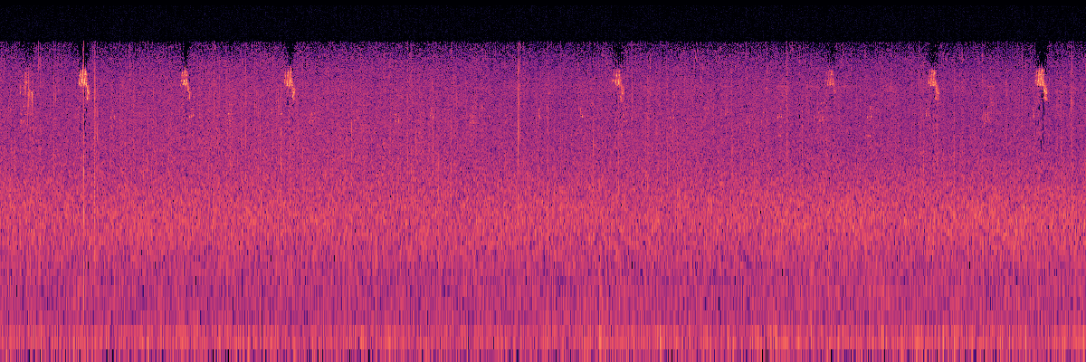 Spectrogram: Rain and Punctuated Bird Song